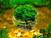 Tổng hợp thành công vật liệu có tiềm năng xử lý môi trường